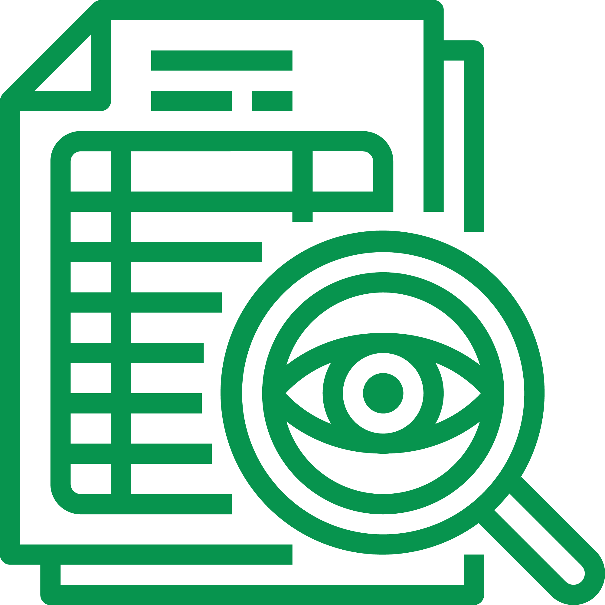 Audit interno ed esterno